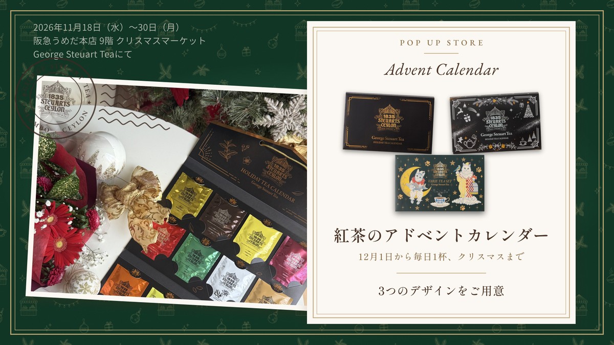 紅茶のアドベントカレンダー。テーブルに広げたクラシックゴールドの写真と、クラシックゴールド・ホリデーシルバー・猫の3デザインを紹介するカード