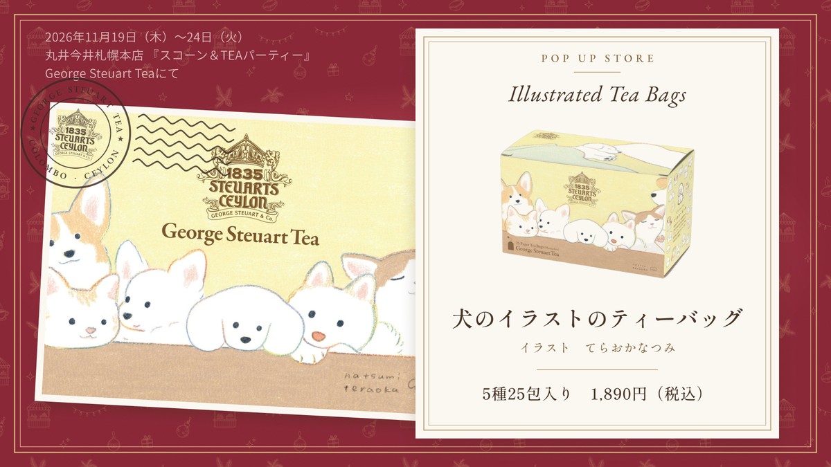 てらおかなつみさんの犬のイラストのティーバッグ5種セット。箱のイラストと、商品を紹介するカード